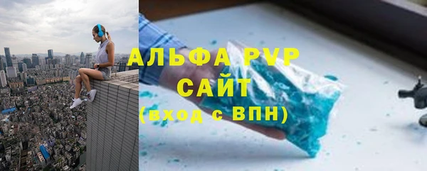 мдпв Гусев