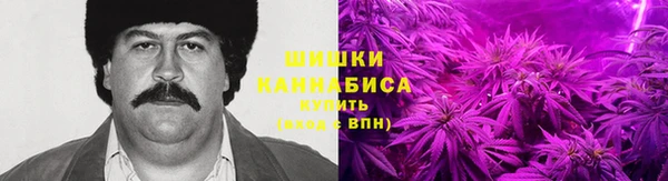 мдпв Гусев