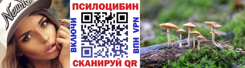 Купить  Олонец  Галлюциногенные грибы MAGIC MUSHROOMS 