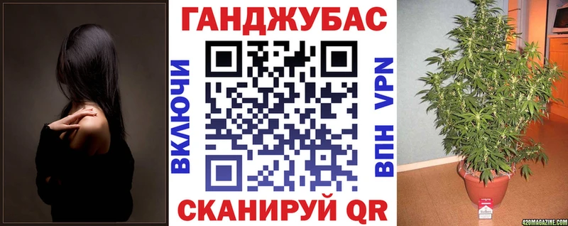 Купить  Олонец  Шишки марихуана план 